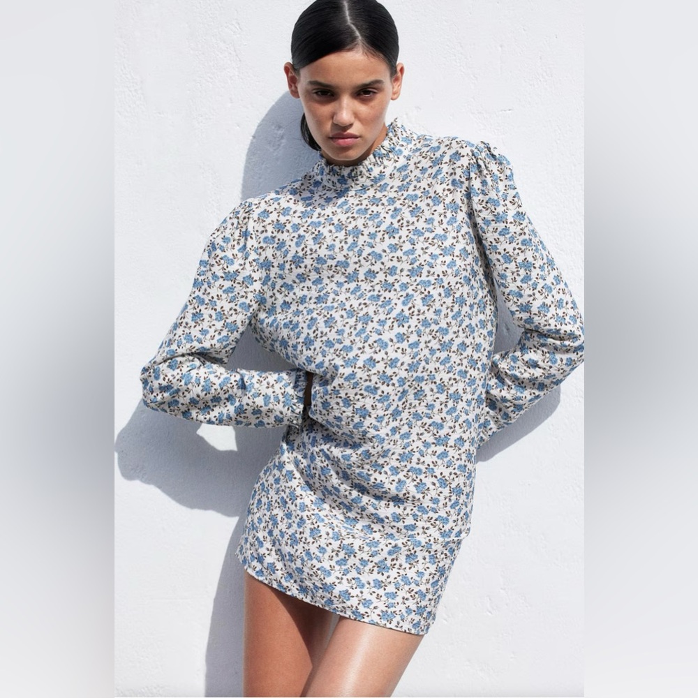 H&M Blue Floral Long Sleeve Dress